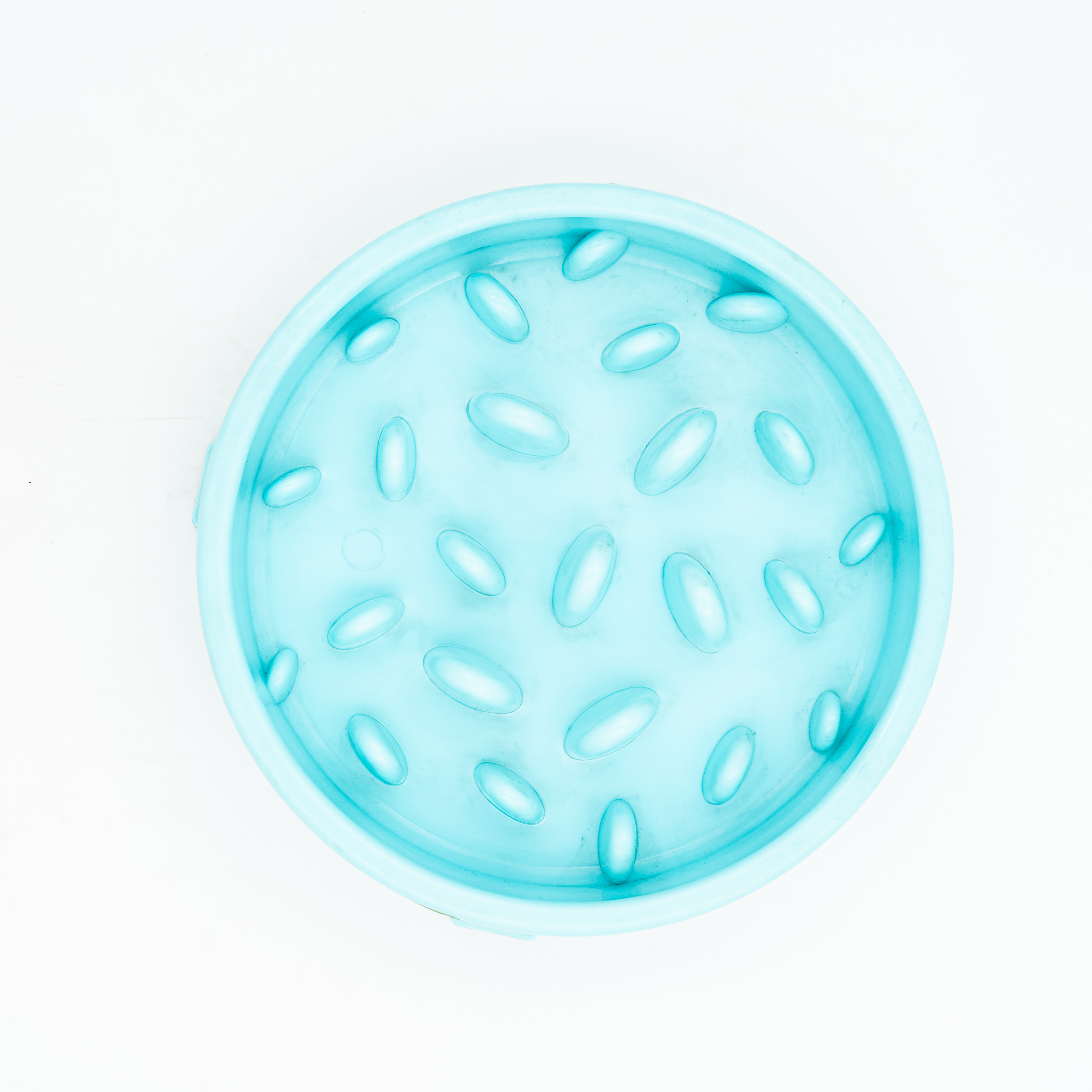 Pet Playing Items (Blue) Pet Accessories MRP 373