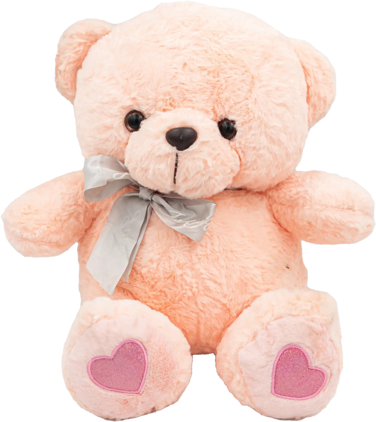 Pink Teddy Bear MRP 2050