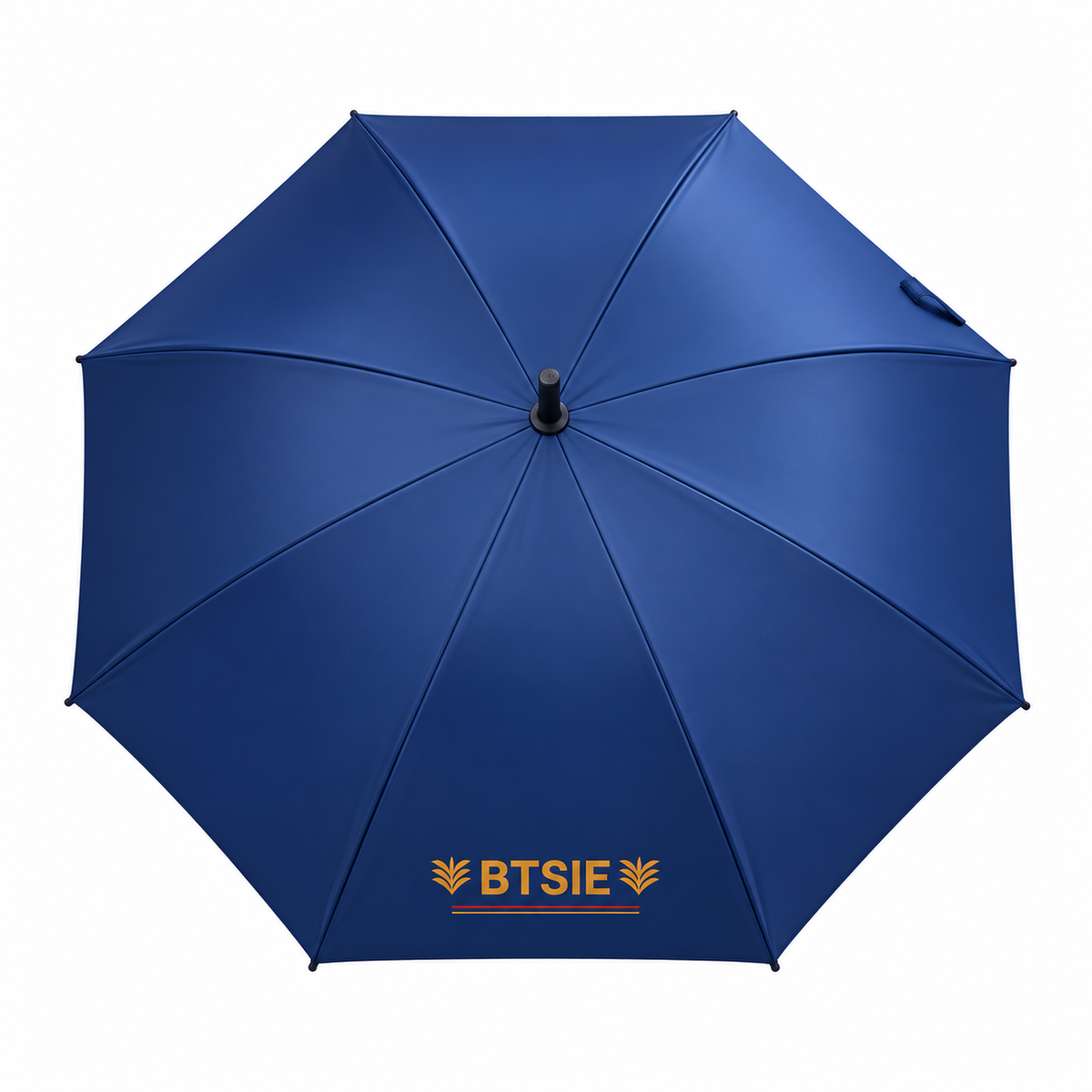 Umbrella 1pcs  MRP 500