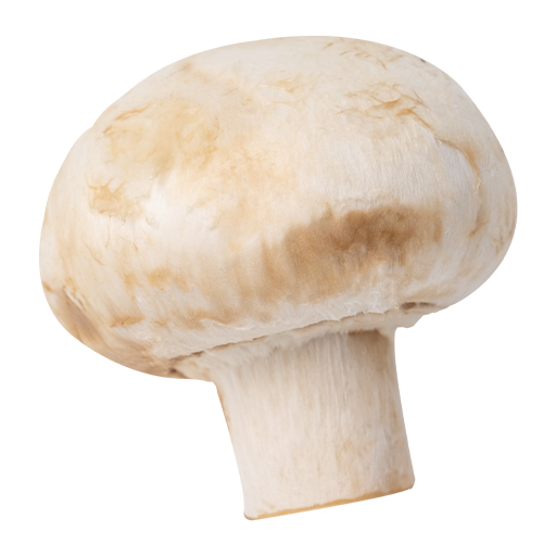 Pahadi Fresh Button Mushroom 200g MRP 130