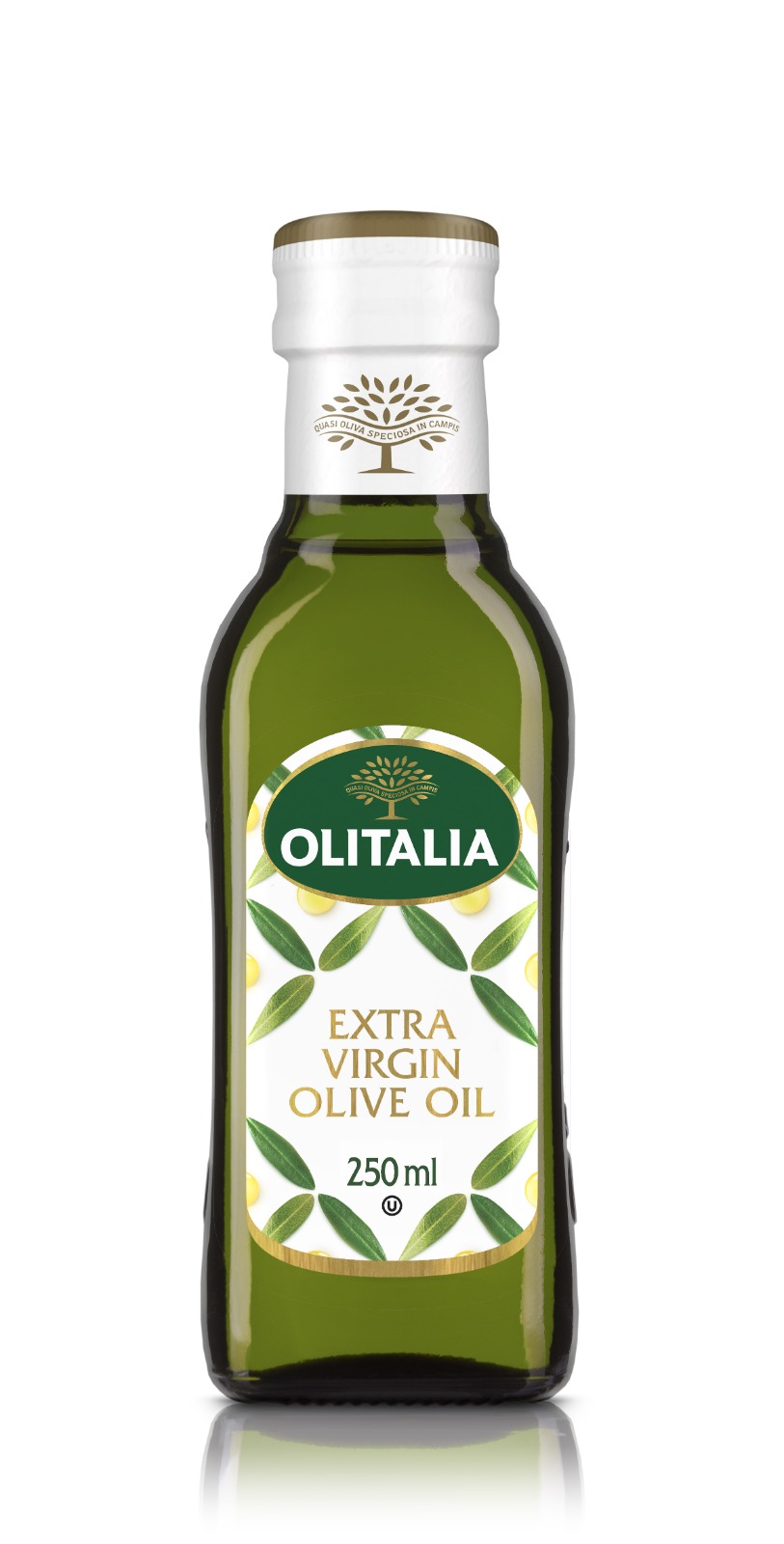 OLITALIA Extra Virgin Olive Oil 250ml MRP 825
