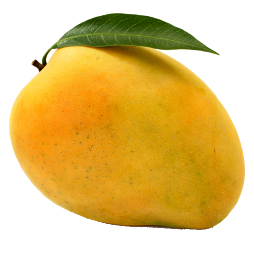 Pahadi Fresh Mango 500g MRP 110