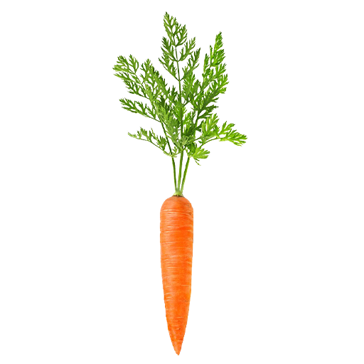Pahadi Fresh Carrot 200g MRP 60