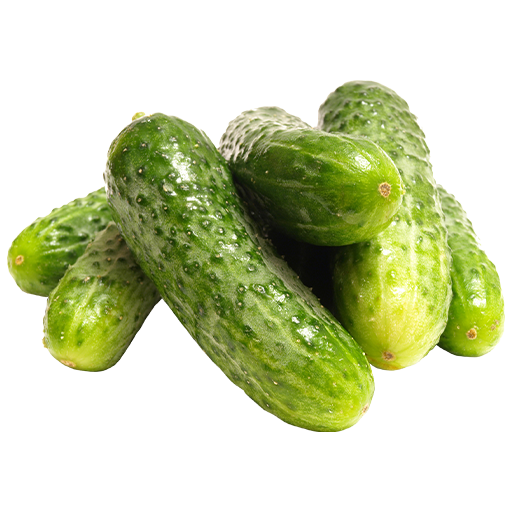 Pahadi Fresh Cucumber 1000g MRP 135